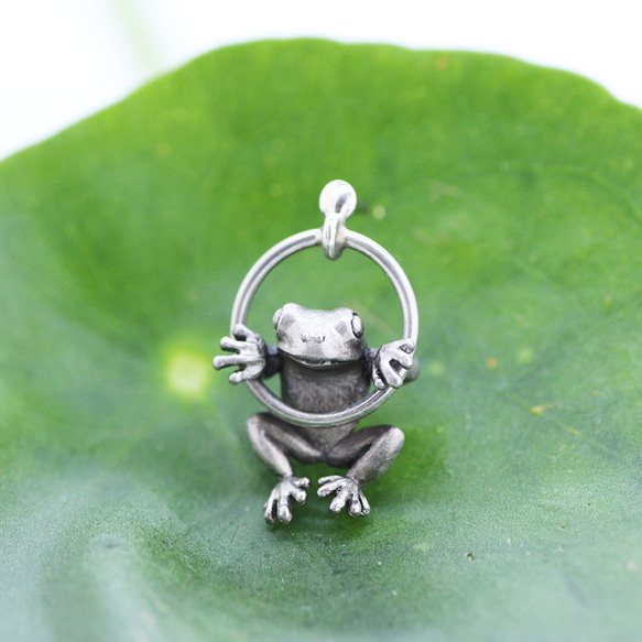 環紋青蛙銀胸針（別針徽章） 第2張的照片