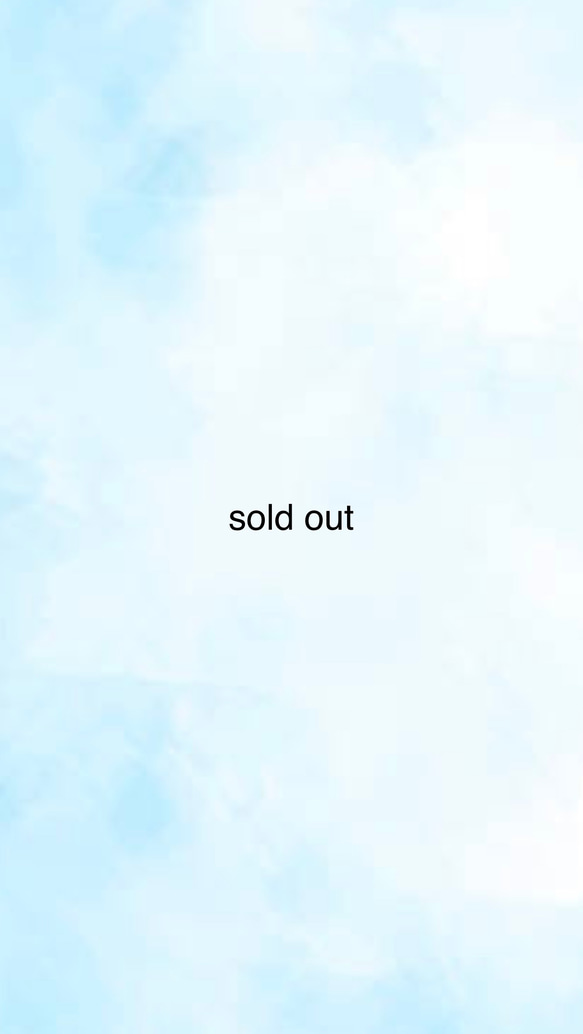 sold out 1枚目の画像