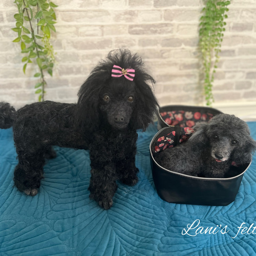 世界でたったひとつ》オーダー 犬♡うちの子製作♡羊毛フェルト♡トイ