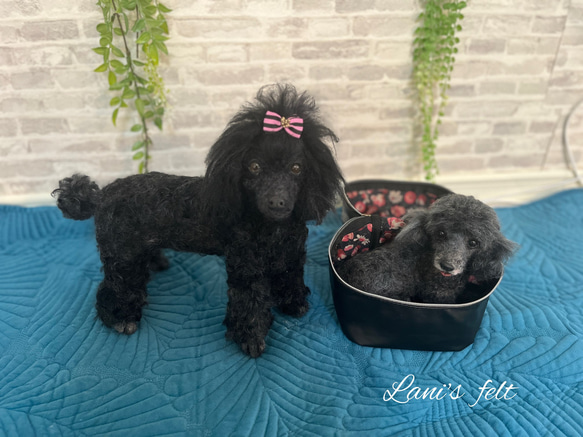 世界でたったひとつ》オーダー 犬♡うちの子製作♡羊毛フェルト♡トイ