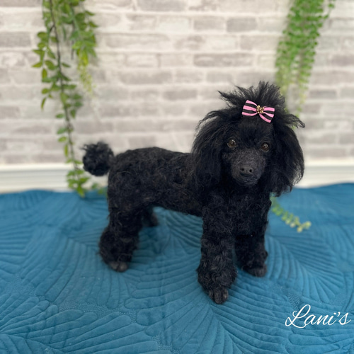 世界でたったひとつ》オーダー 犬♡うちの子製作♡羊毛フェルト♡トイ