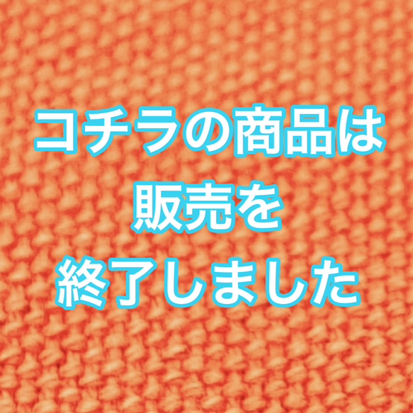 コチラの商品は販売を終了いたしました。 1枚目の画像