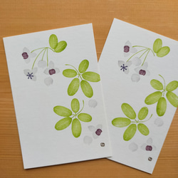 no.6『アケビ』・季節の草花で彩る手捺し原画ポストカード（2枚入り） 1枚目の画像