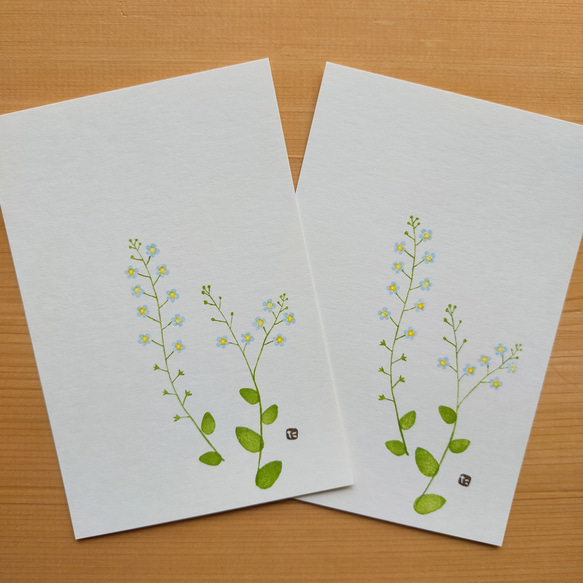 no.7『キュウリグサ』・季節の草花で彩る手捺し原画ポストカード（2枚入り） 1枚目の画像