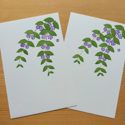 no.32『コムラサキ』・季節の草花で彩る手捺し原画ポストカード（2枚入り） 1枚目の画像