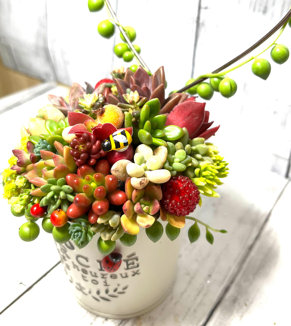 多肉植物　寄せ植え　グリーンネックレス　くるりん♡仕立て　贈答　引越し　就職退職　プレゼントにも☆ 4枚目の画像