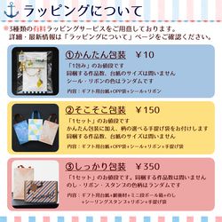 一番星のフェザー片耳ピアス 12枚目の画像