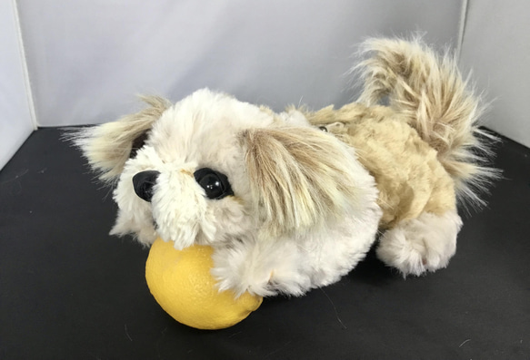 シーズー犬の小さなポーチバッグ（23センチ）、NO.2 6枚目の画像