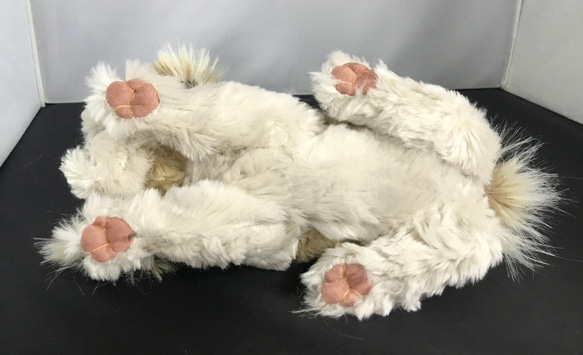 シーズー犬の小さなポーチバッグ（23センチ）、NO.2 7枚目の画像