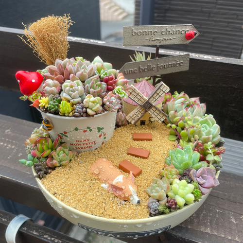 プレゼントにも〜受注制作 円形わんちゃんちゃんガーデン箱庭風多肉