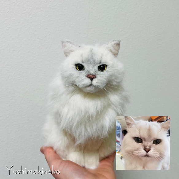 オーダーメイド猫人形　Sサイズ 14枚目の画像