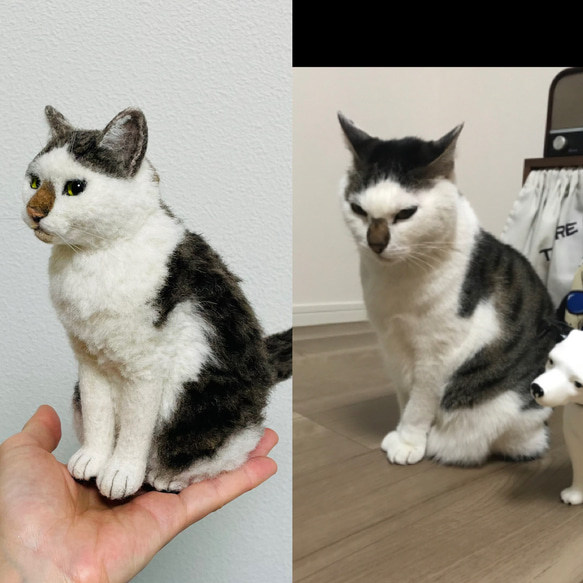 オーダーメイド猫人形　Sサイズ 6枚目の画像