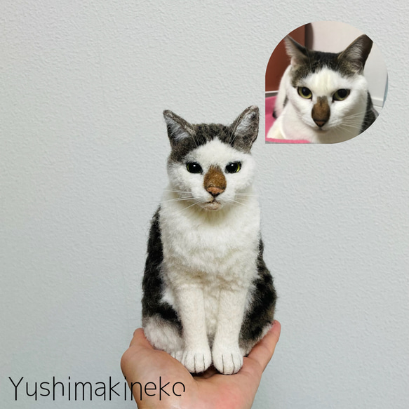 オーダーメイド猫人形　Sサイズ 5枚目の画像