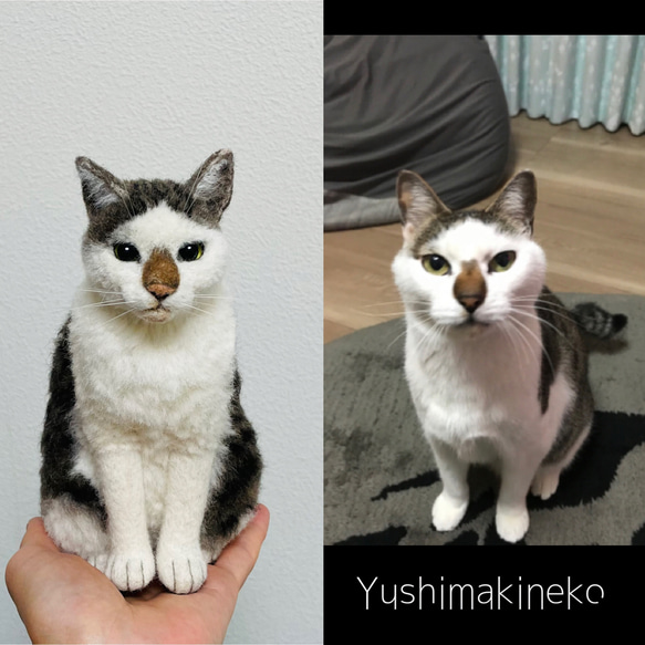 オーダーメイド猫人形　Sサイズ 4枚目の画像