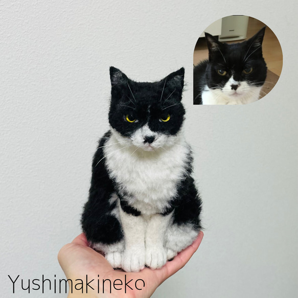 オーダーメイド猫人形　Sサイズ 9枚目の画像