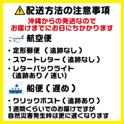 オパールのマグネット 6枚目の画像