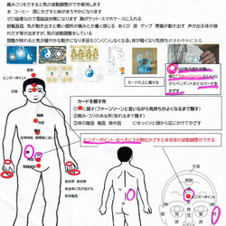  第5張的照片