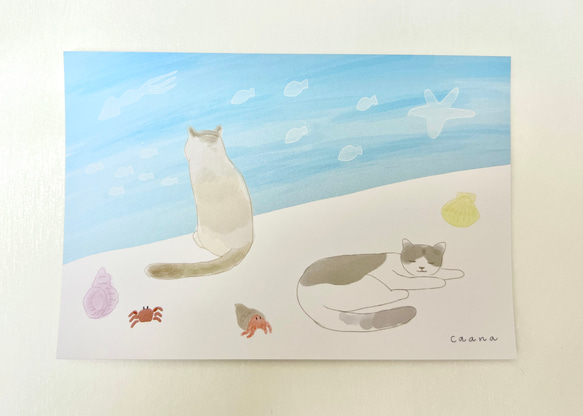 ポストカード 3枚セット 『海辺のネコ』 1枚目の画像