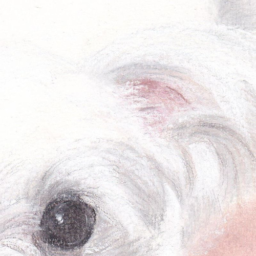 smile dog ハンドメイドパステル画 絵画アート原画