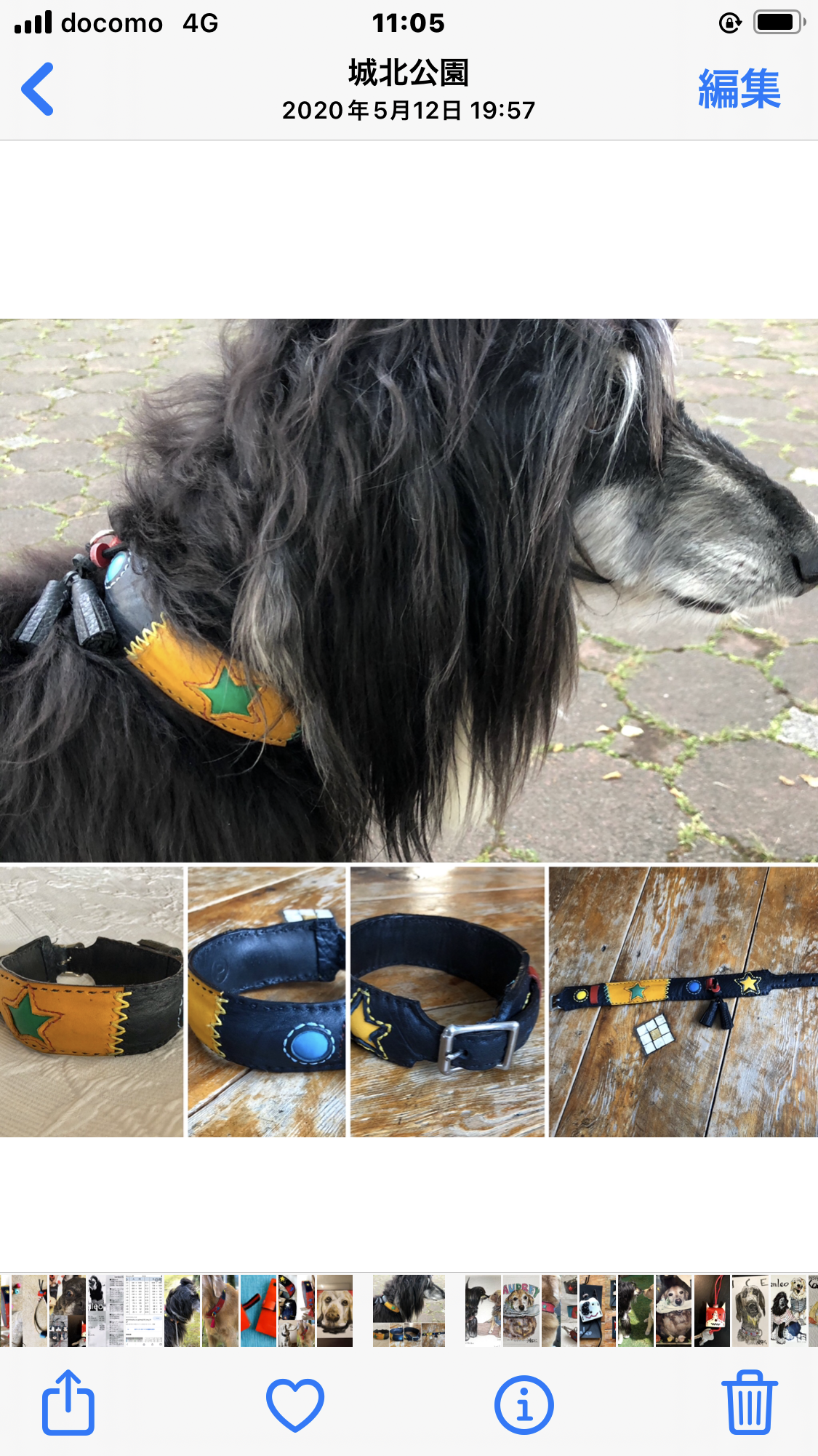 首輪:Kenleo starシリーズ/Mサイズ/No:002(SFS37M)