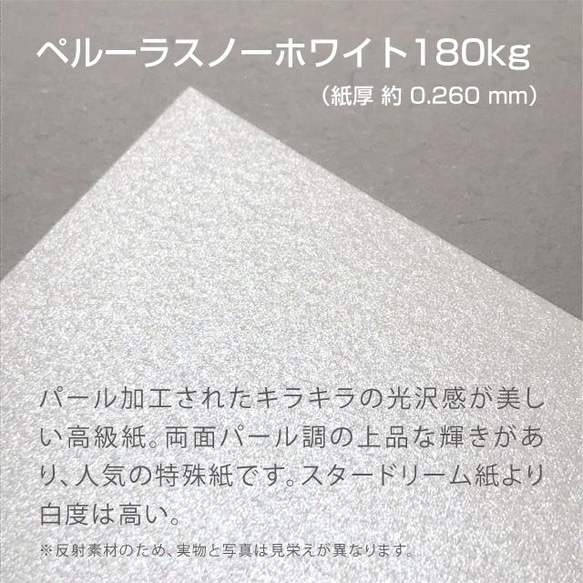 お徳用500枚 ＋ 100枚 合計600枚 パール 系 キラキラ ネイルチップ 台紙 名入れ オーダー 90×74 5枚目の画像