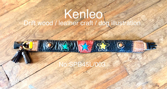 首輪:kenleo starシリーズ/Lサイズ:No003(SPB45L) 2枚目の画像