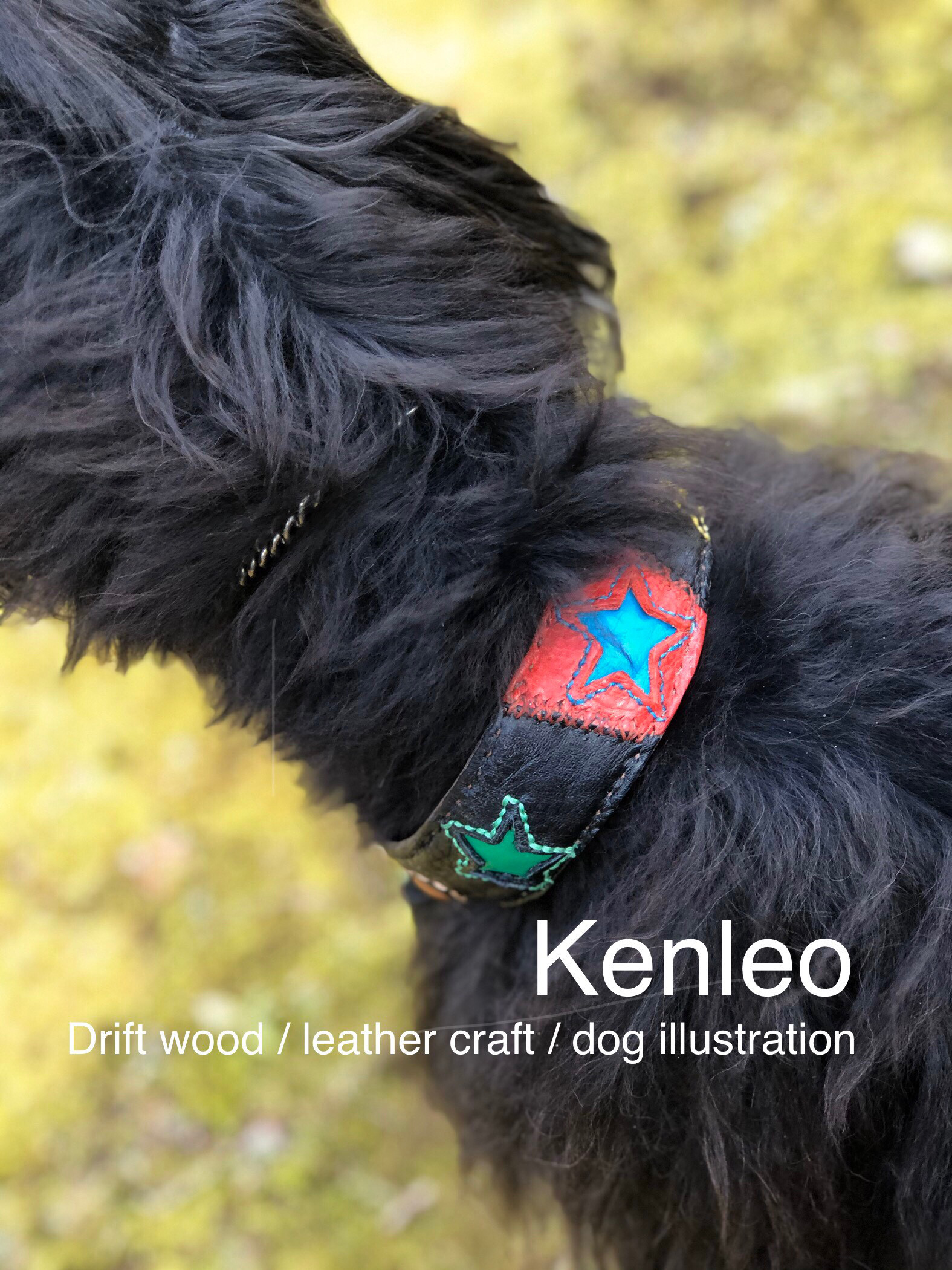 首輪:kenleo starシリーズ/Lサイズ:No003(SPB45L)