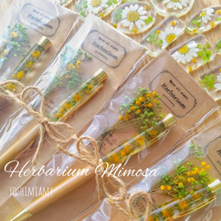 No.151 ミモザ＆猫ちゃんの箸置き♡固まるハーバリウム2個set No.151 ミモザ＆猫ちゃんの箸置き♡固まるハーバリウム2個set No.151