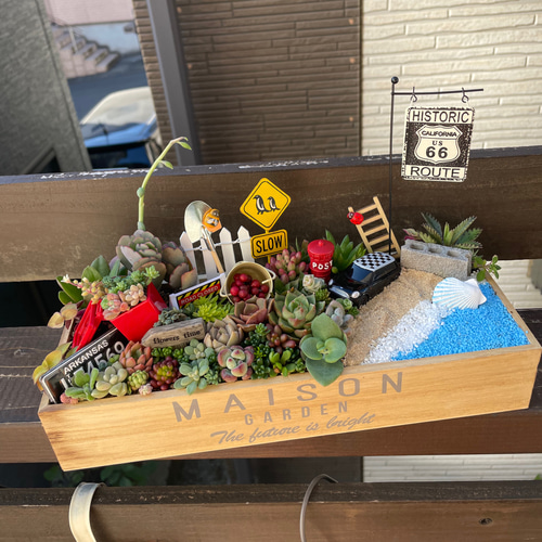 受注制作 ガーデンorオーシャン箱庭風多肉植物寄せ植え その他