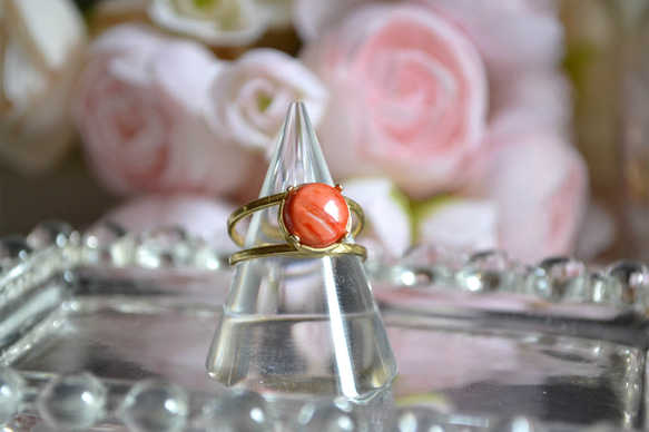 スパイニーオイスターシェル✧フリーリング 指輪・リング Atelier Per