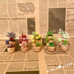 コルク&フェイクグリーン 5色セット(PURPLE・YELLOW・PINK・WHITE