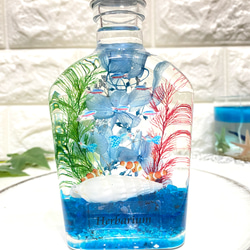 NO.112 アクアリウム✨クラゲ＆熱帯魚の固まるハーバリウム箸置き2個set 再販5－ 小さな水族館セット アクアハーバリウム 熱帯魚 お得な4本