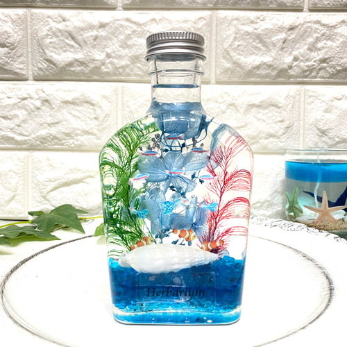 アクアハーバリウム 熱帯魚 ① ウイスキーボトル ハーバリウム・植物