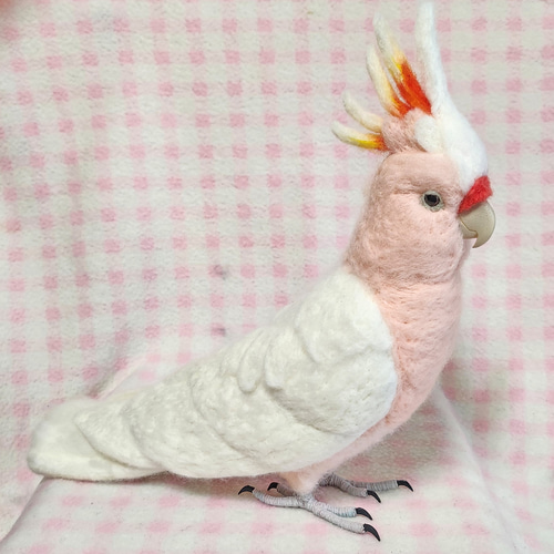 清-Sei- 山羊毛【さ商品】 ライフサイズ 羊毛クルマサカオウム lifesize Major Mitchell's