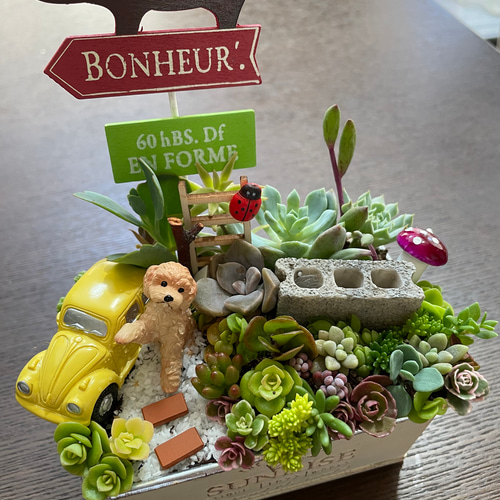 受注制作 箱庭風多肉植物寄せ植え その他インテリア雑貨 まぁちゃん