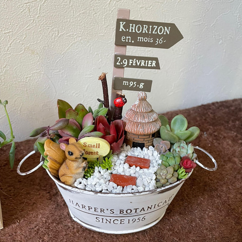受注制作 箱庭風多肉植物寄せ植え その他インテリア雑貨 まぁちゃん