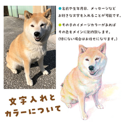 みてみてうちの子　ペットの似顔絵（犬・猫・うさぎ等）オーダーメイド 11枚目の画像