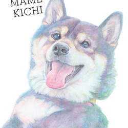 みてみてうちの子　ペットの似顔絵（犬・猫・うさぎ等）オーダーメイド 3枚目の画像