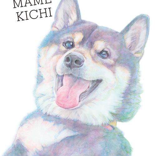 みてみてうちの子 ペットの似顔絵（犬・猫・うさぎ等）オーダーメイド