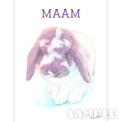 みてみてうちの子　ペットの似顔絵（犬・猫・うさぎ等）オーダーメイド 7枚目の画像