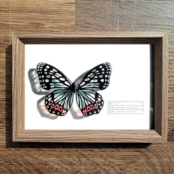 90a00fa383c7d4f645b44165591e36