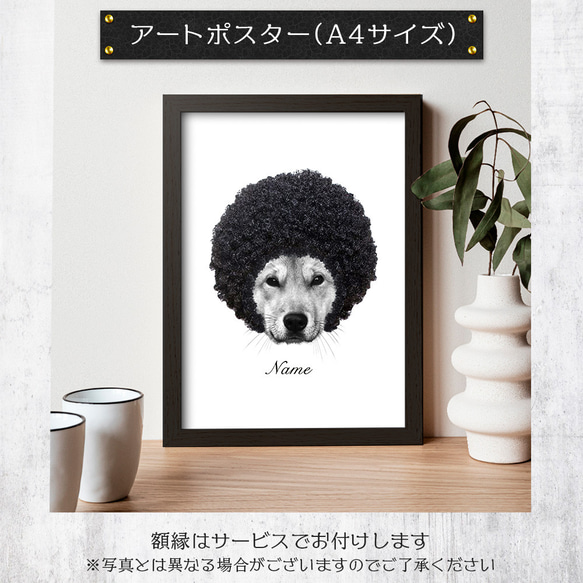 【期間限定：30％OFF】夏のアフロ祭り 送料無料■ PetArt810 4枚目の画像