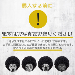 【期間限定：30％OFF】夏のアフロ祭り 送料無料■ PetArt810 10枚目の画像