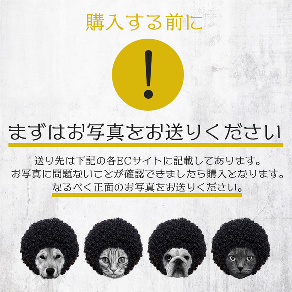 【期間限定：30％OFF】夏のアフロ祭り 送料無料■ PetArt810 10枚目の画像