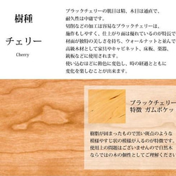 春季促銷♪櫻桃黃油盒（日本製造，慶祝生日，結婚麵包，廚房，新生活，家庭母親節，情人節） 第4張的照片