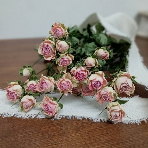 ドライフラワー スプレーバラピンク ファンシーローラ その他素材 Rose 