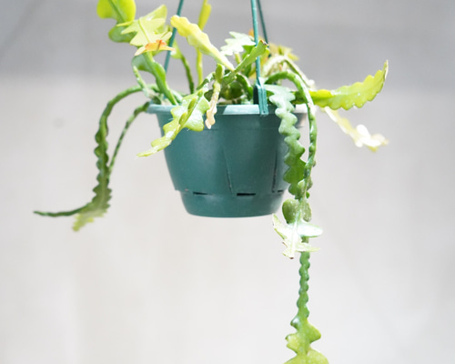 e48b91da27f3d8f34c42aaa9a6a486