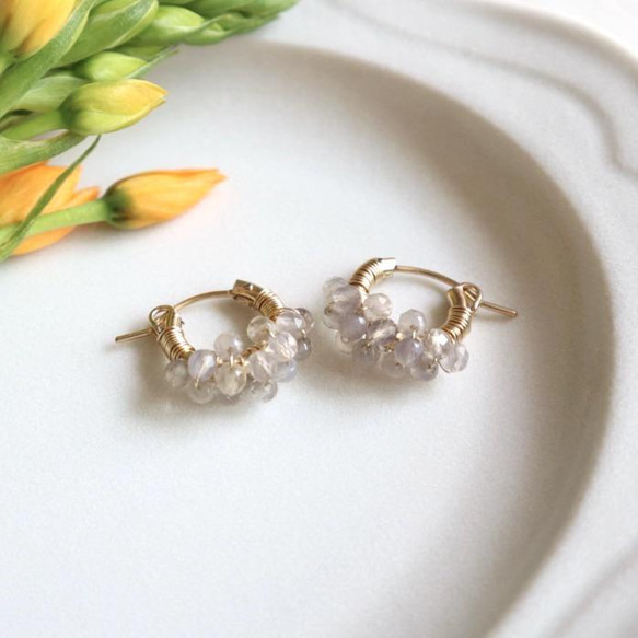 ｛ピアス/イヤリング｝14kgf/petit berries hoops グレーオニキス 1枚目の画像