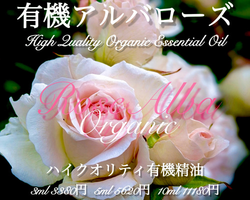 d3faa55a29fa3a647ad7ecbdcfd4ca