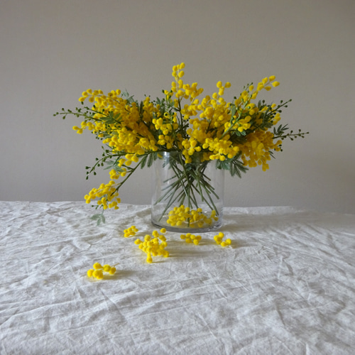 年中飾れる春を運ぶミモザブーケ♡ 花言葉『感謝』水のいらない